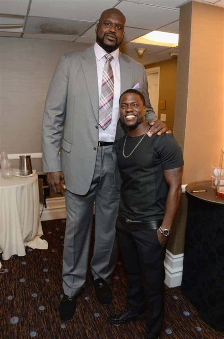 Height Contrast&nbsp;